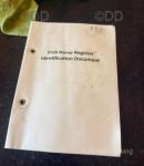 Ben, 15hh Riding Gelding 