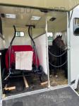 Elams Little Prince, 12hh Hackney Driving Gelding with Cart & Harness