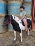 Betty, 12.2hh Dartmoor Riding Mare
