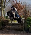 Franko, Ride & Drive Gelding