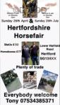 Hertfordshire Horse Fair 