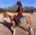 Toytown Poem, Welsh Section A Ride and Drive Mare