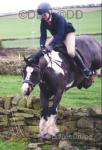 13.2hh 8 year old mare, the ultimate safe & sensible all rounder. Dilly is a truly special 8 year old mare who is as kind and genuine as they come. This lovely girl is the definition of bombproof, safe, steady and completely trustworthy in every situation. 13.2hh 8 year old mare, the ultimate safe & sensible all rounder. Dilly is a truly special 8 year old mare who is as kind and genuine as they come. This lovely girl is the definition of bombproof, safe, steady and completely trustworthy in every situation.