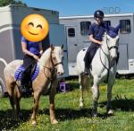 Misty, 13.3hh Riding Mare