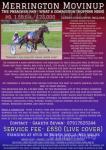 Merrington Movinup, 15.3hh Standardbred Stallion at Stud