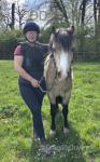 Leo, 12.3hh Welsh Section A Stallion 