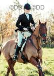 Ginger, 15.2hh Thoroughbred Riding Gelding 