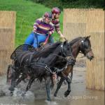 Bradley and Corey, 12hh Driving Geldings  