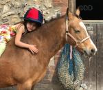 Golden Phoenix, 12.2hh Welsh Section C Ride & Drive Mare