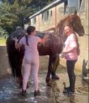 Big Red, Riding Colt