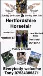 Hertfordshire Horse Fair