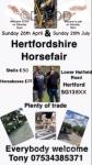 Hertfordshire Horse Fair