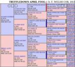 14hh Welsh Section D Riding Mare