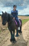 Daisy, 13.2hh Riding  Mare