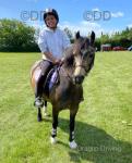Dycott Fancy-Fancy, 13.1hh Welsh Section C Riding Mare