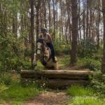 Darla, 14.1hh Riding Mare