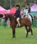 Porsha, 13.2hh Riding Mare