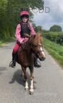 Riding Filly