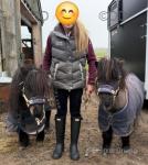 Bradly & Liquorice, Shetland Ride & Drive Geldings with Cart & Harness