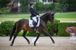 Perles Pisa, 16.1hh Mare