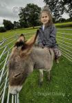 Jude & Jody, Donkeys
