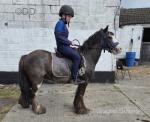 12.3hh Riding Gelding