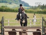 Willow, 14.2hh Riding Mare
