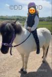 Bow, Ride and Drive Mare