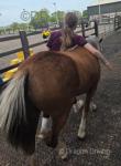 April, 12.1hh Mare