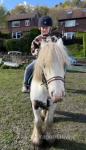 12.2hh Ride and Drive Gleding 