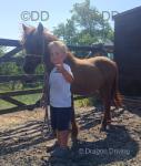 Ginger, Shetland x Filly