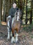 Rosie, 13hh Ride and Drive Mare