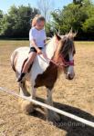 12.2hh Ride and Drive Mare 