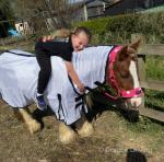 12.2hh Ride and Drive Mare 