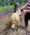 Ride and Drive Mare