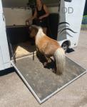 Ride and Drive Mare