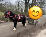 Ride and Drive Mare