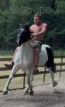 15hh Ride and Drive Gelding 