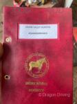 Shire Gelding 