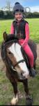 Polly, 12hh Riding Mare