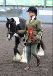 12.2hh Riding Gelding 