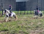 Riding Mare