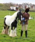 3 Year Old Filly