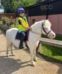 Iggle 11.2hh Welsh Section A Mare