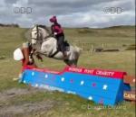 16.2hh ID x Mare