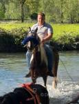 Sexy Legs, 13.3hh Ride and Drive Mare