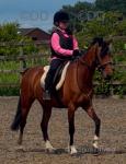Luddington Hi Class, 12.2hh Hackney Mare