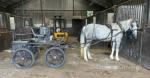 Blueboy, 15.1hh Driving Gelding 