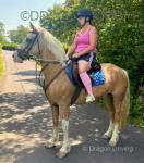 Golden Girl, 14.3hh Welsh Section D Mare