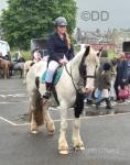 14hh Riding Mare